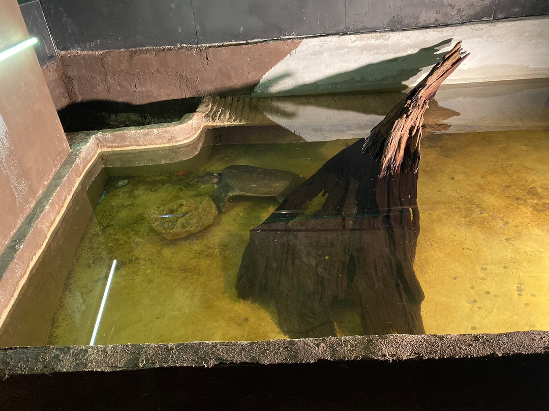 Cave Villa-黑风洞必去景点