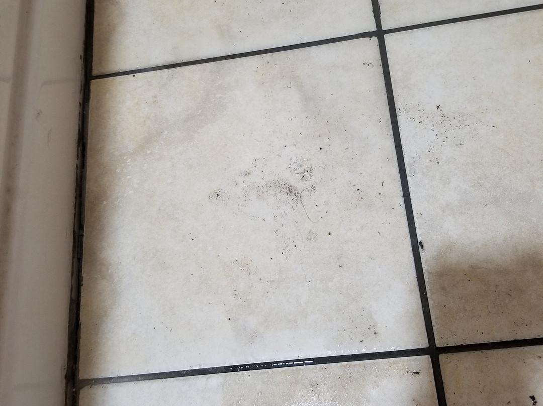 Baymont by Wyndham Orangeburg North主图