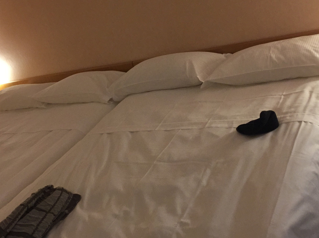 Hotel Milano - Active Hotel主图