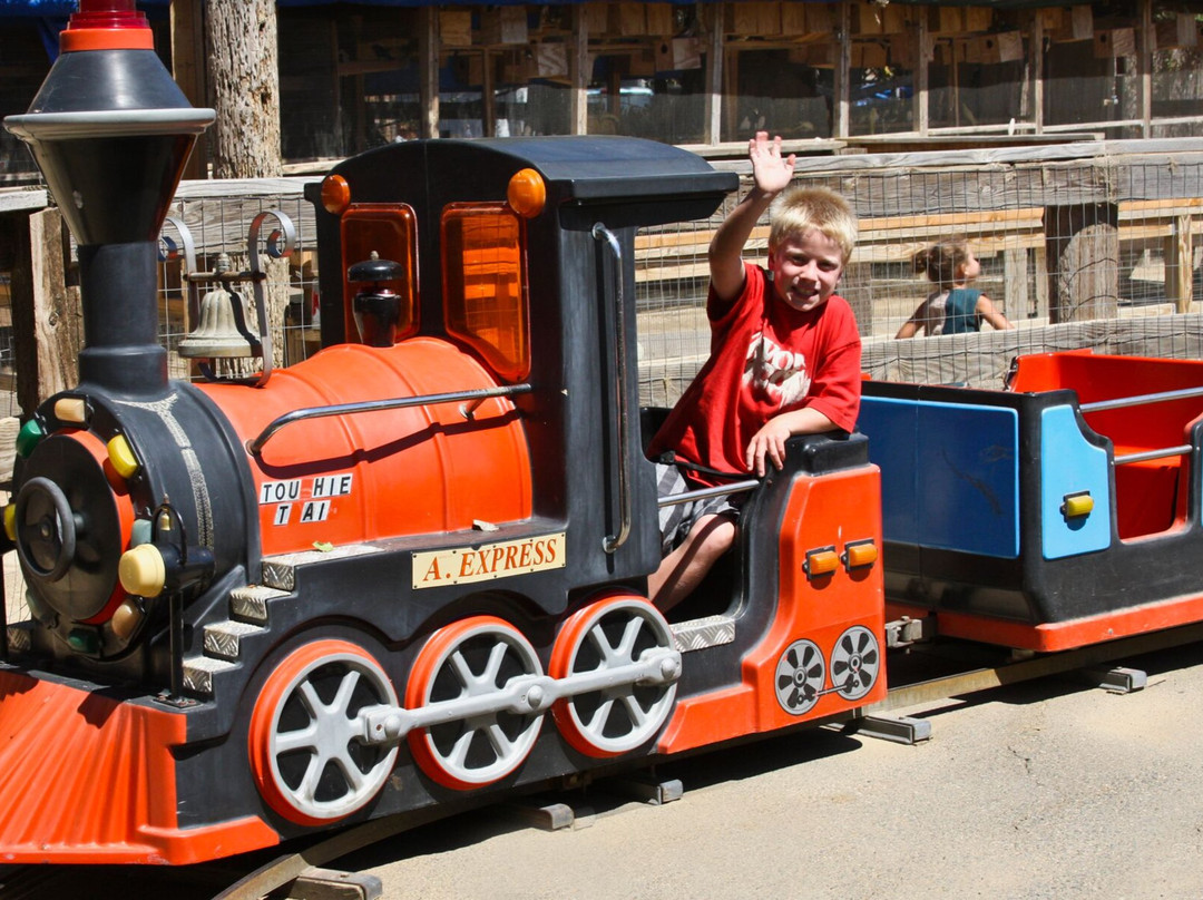 Zoomars at River Street Ranch-San Juan Capistrano必去景点