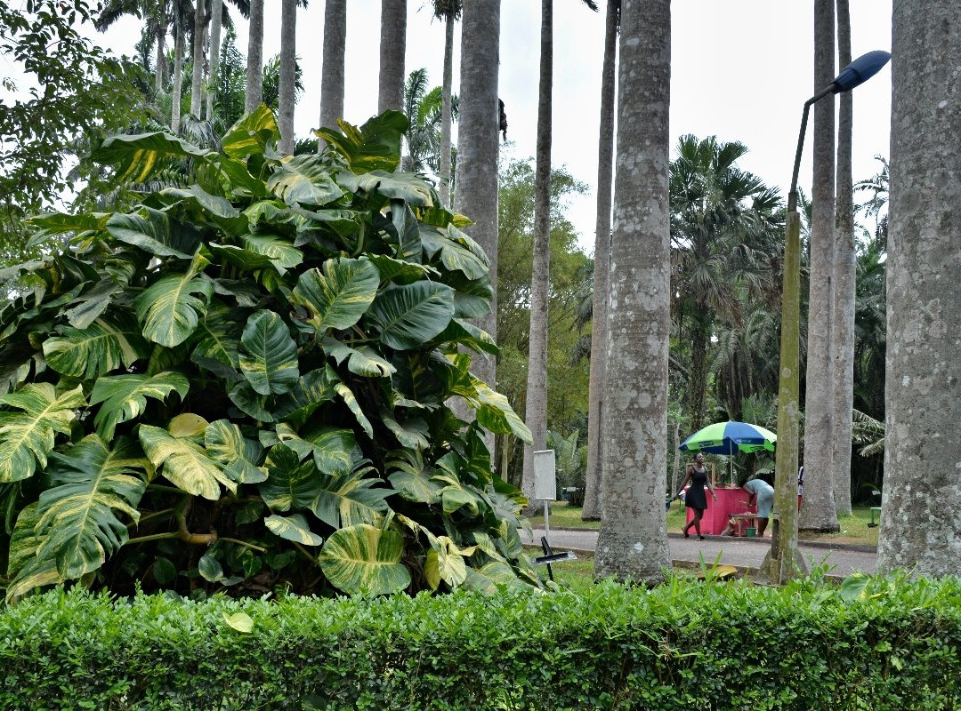 Aburi Botanical Gardens景点图片