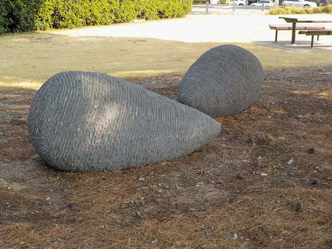 Newmarket Reserve-墨尔本必去景点