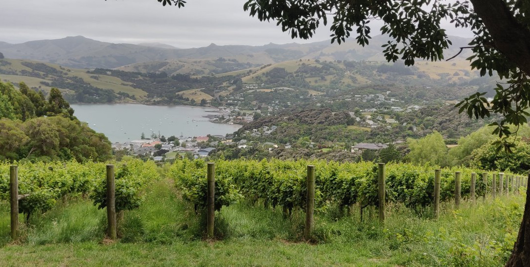 Meniscus Wines-阿卡罗阿必去景点