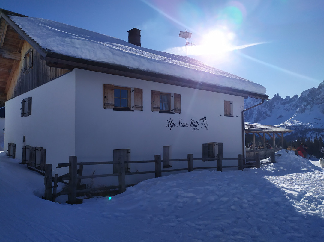 Malghe di Nemes e Coltrondo dal Passo di Monte Croce Comelico景点图片