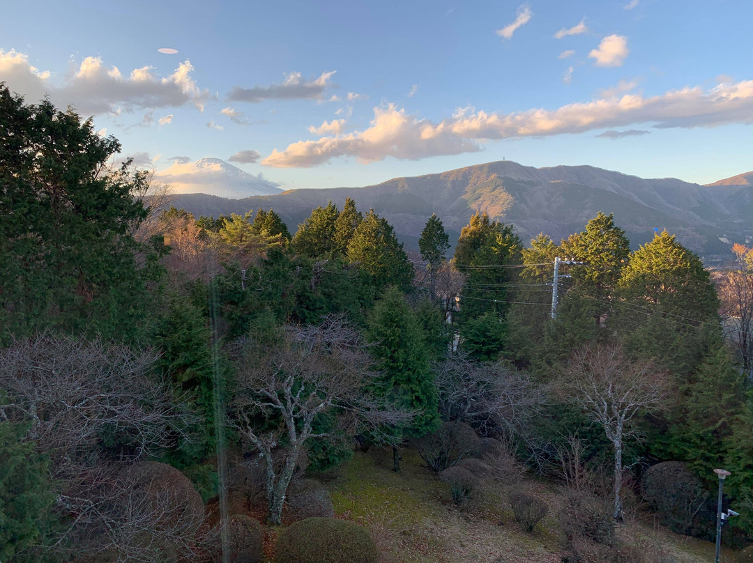 Hakone Yuyado Zen主图