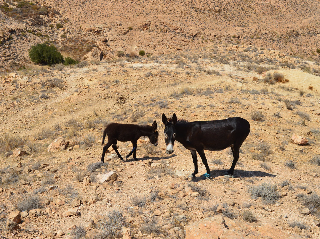 Matmata Welcome Sign-Matmata必去景点