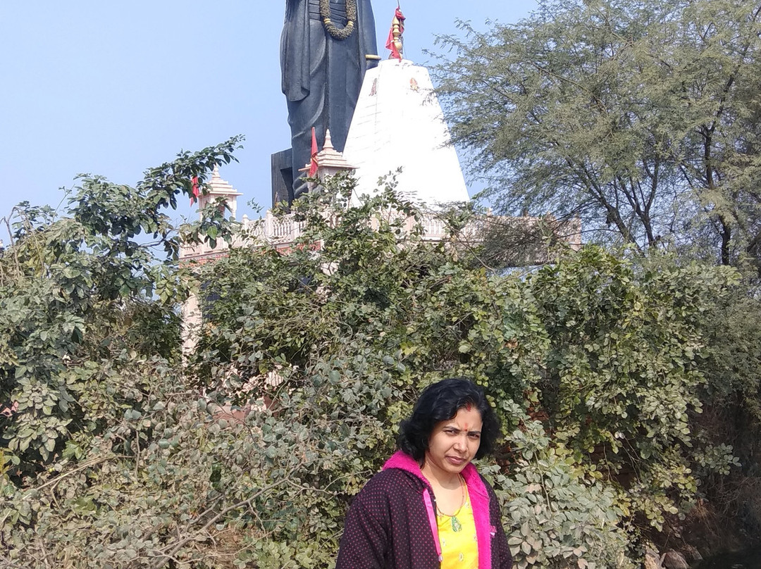 Kokilavan Dham (Shani Temple)景点图片