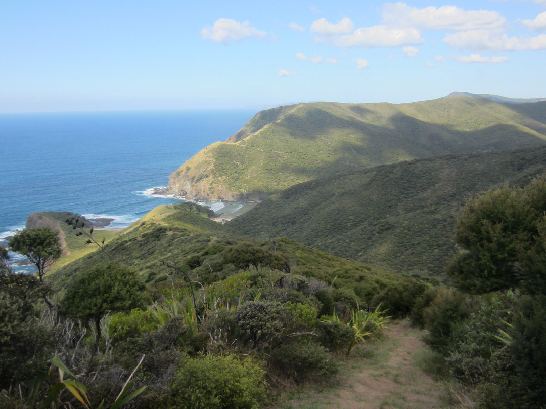 Te Paki Coastal Track景点图片