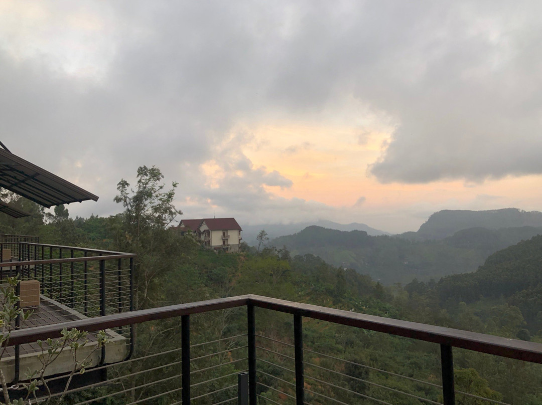 Anasa Wellness Resort主图