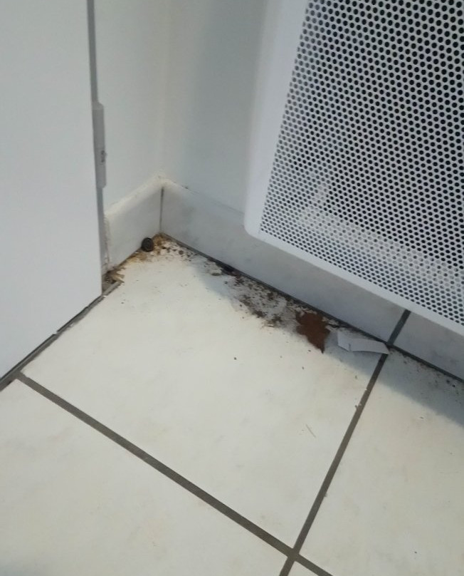 Comfort Aparthotel Nantes La Beaujoire主图