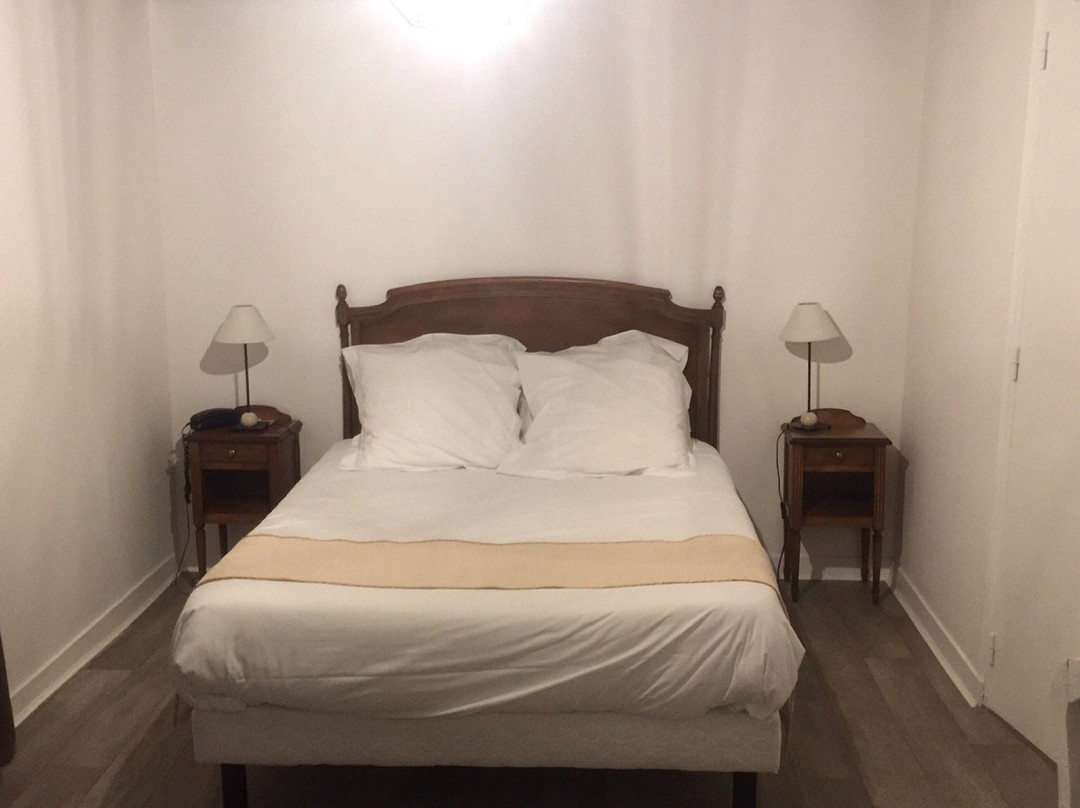 Logis Hôtel du Sauvage主图