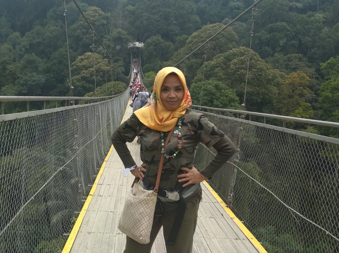 Jembatan Gantung Situ Gunung-苏加武眉必去景点