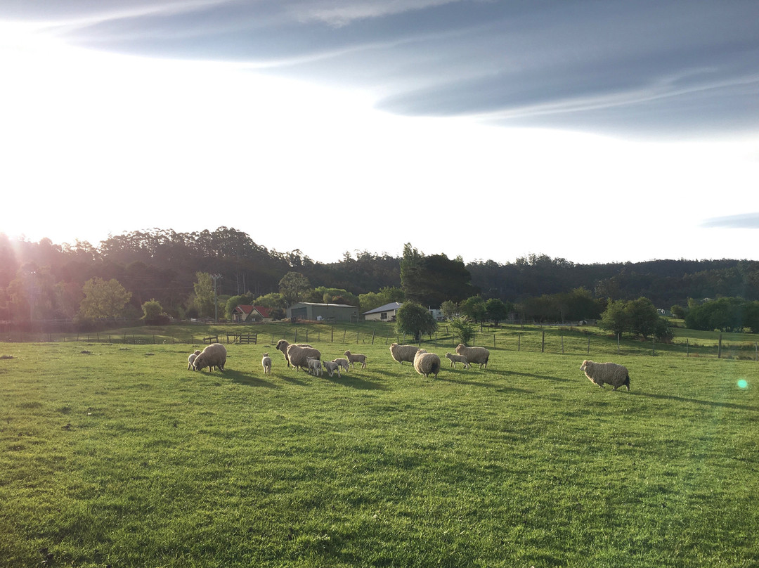 Ashdowns of Dover Boutique B&B主图