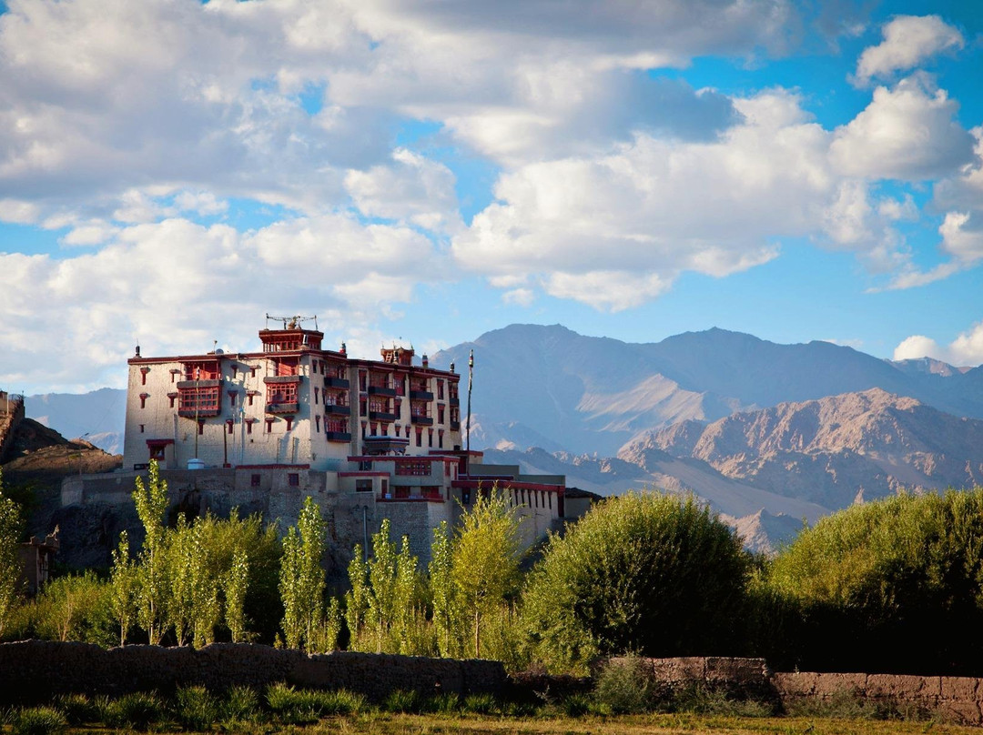 Trip India Hotels & Holidays-新德里必去景点