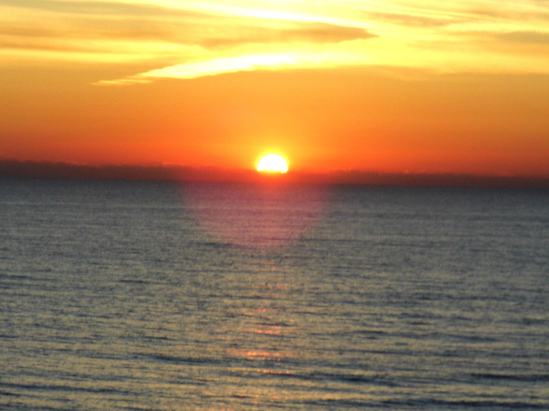 Shoreline Island Resort主图