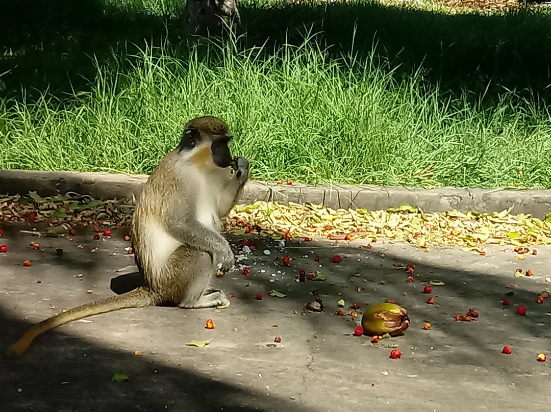 All Seasons Resort Europa主图