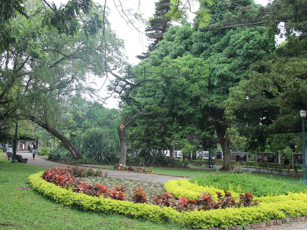 Tunduru Botanical Gardens景点图片