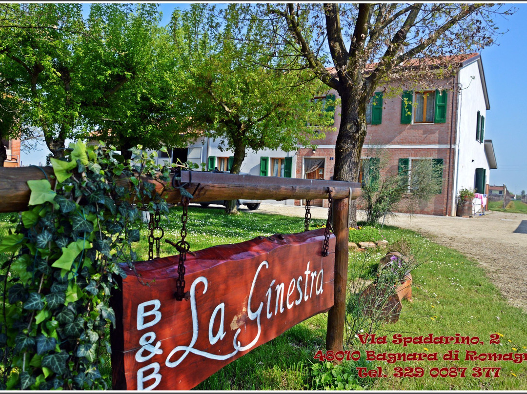 B&B "La Ginestra"