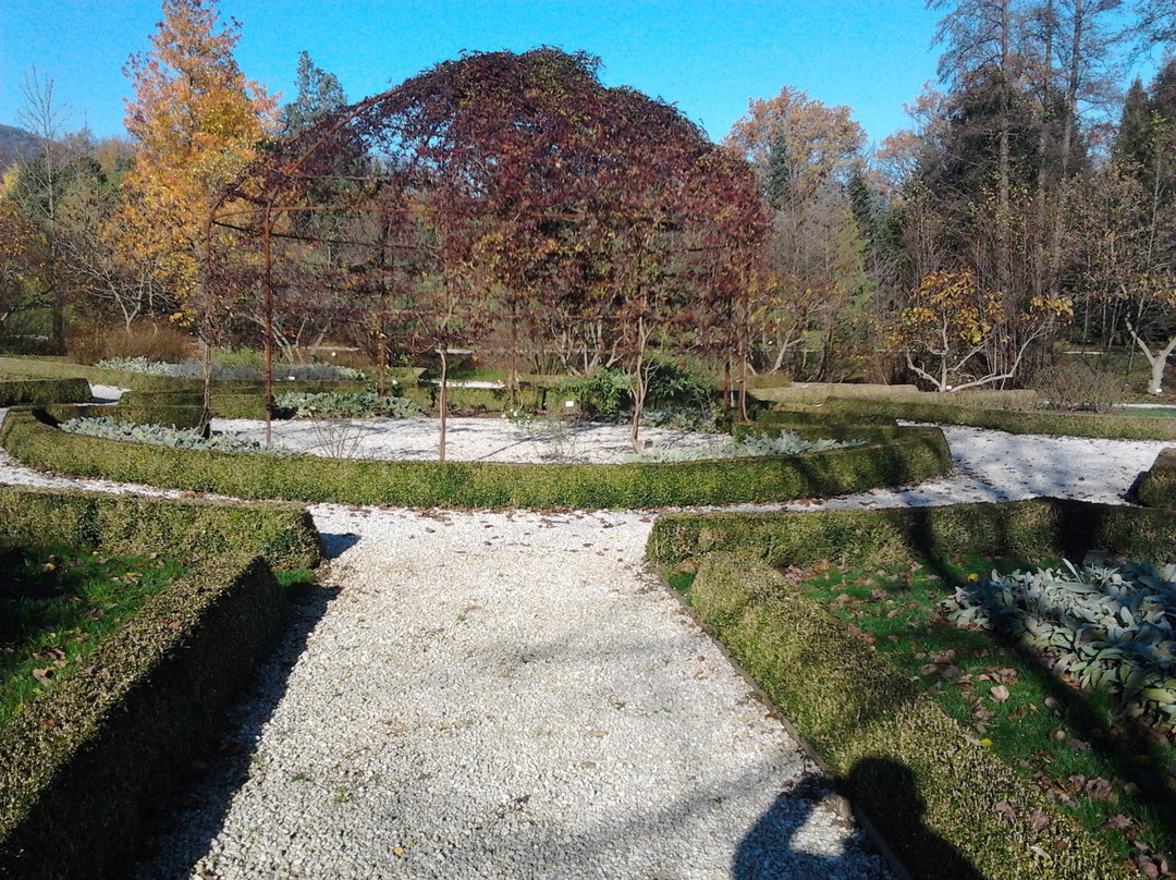 Botanical Garden Of University Of Maribor景点图片