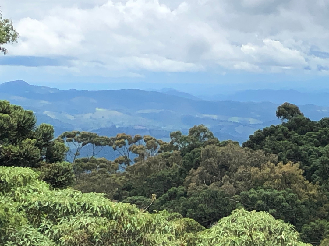 特丽巴酒店主图