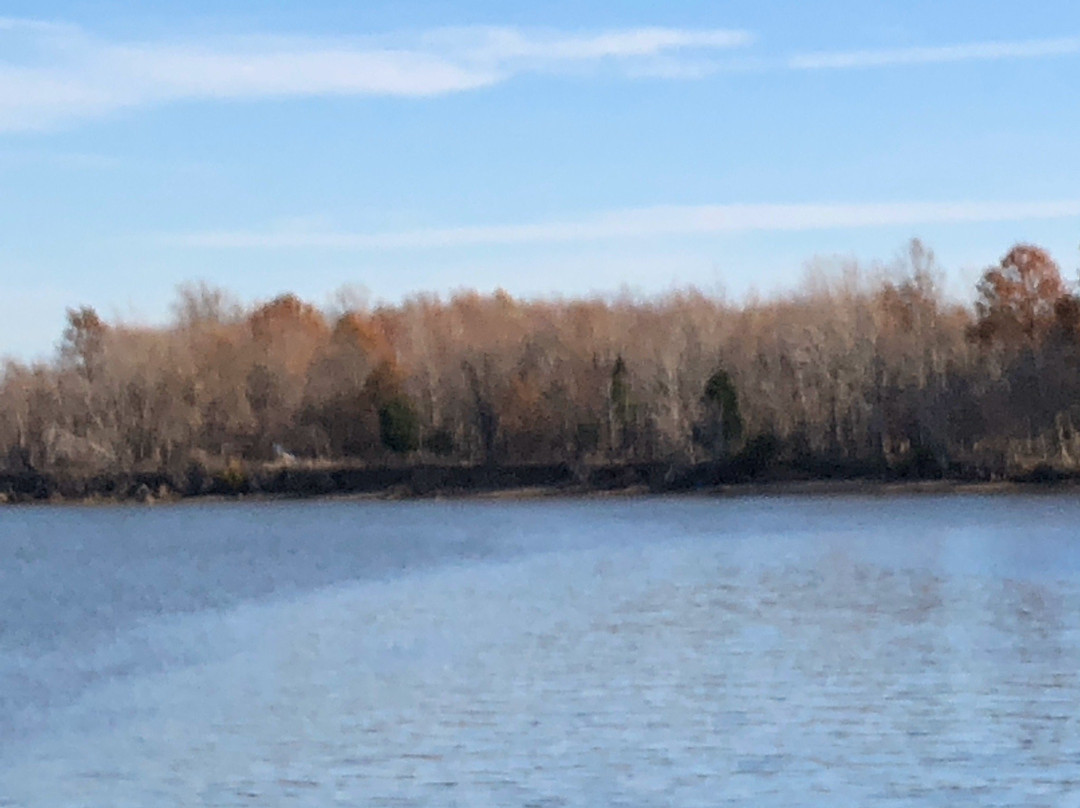Accokeek Farms at Piscataway Park景点图片