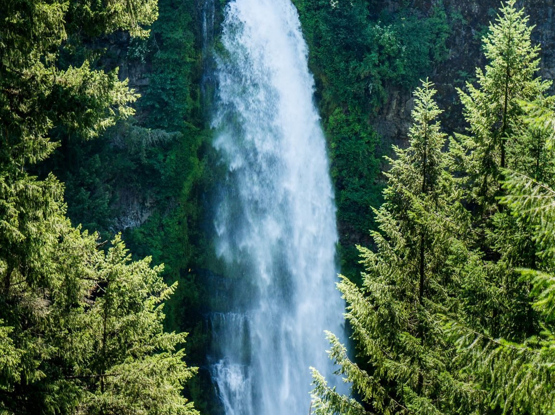 Mill Creek Falls-Prospect必去景点