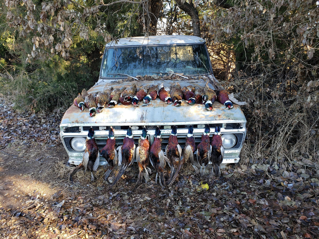 NCK Outfitters