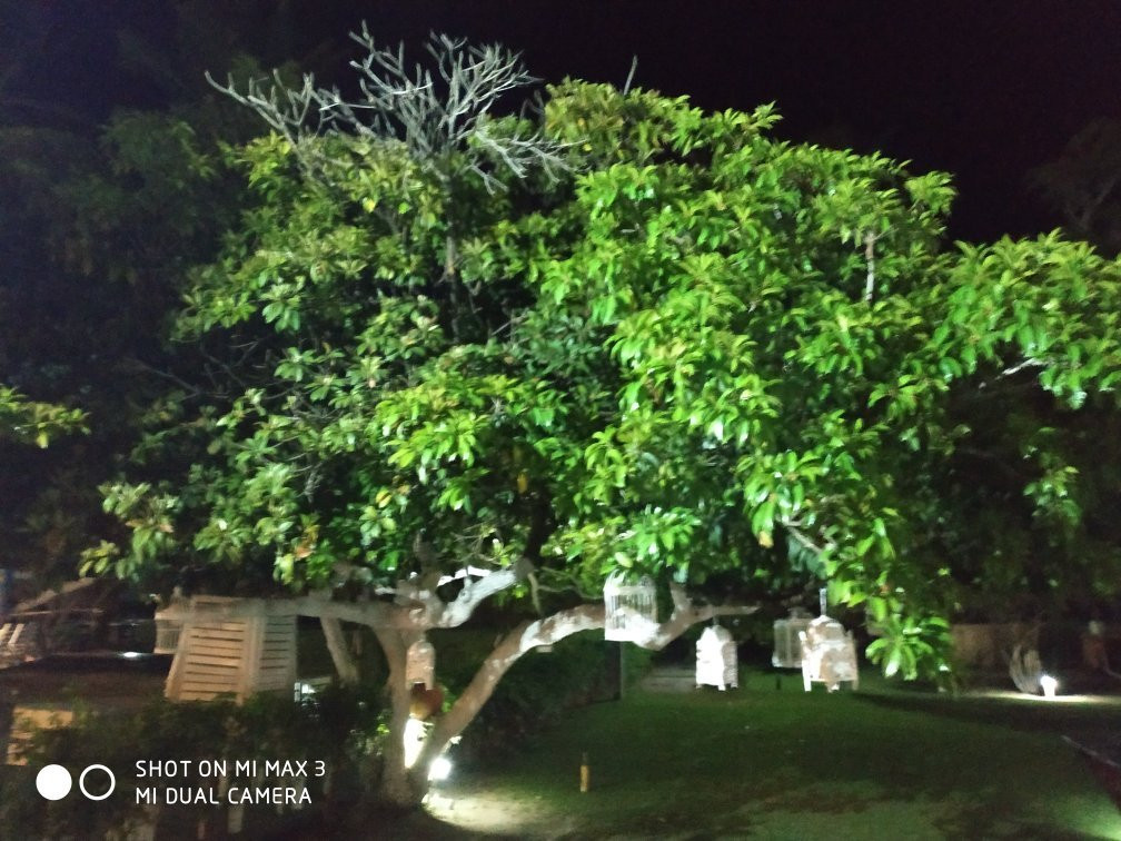 Fiore Resort & Residence-Paripueira必去景点