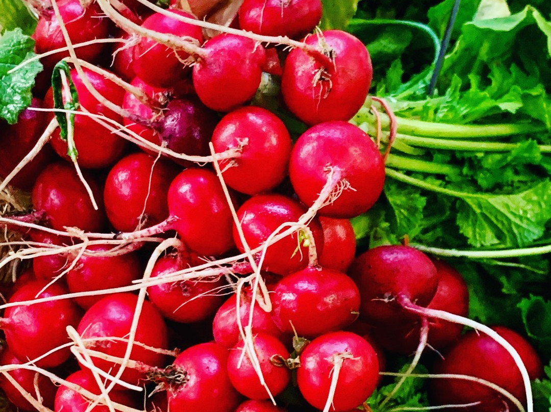 Mount Pleasant Farmers Market景点图片