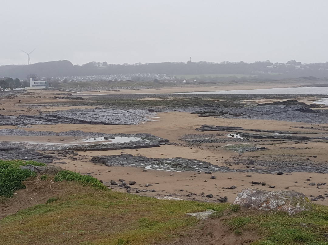 Newton Bay Beach景点图片