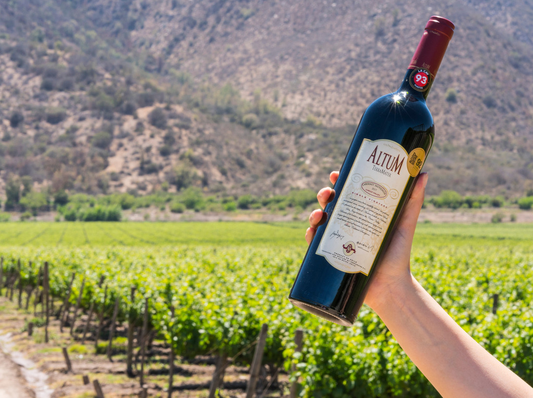 Vina TerraMater-Isla de Maipo必去景点