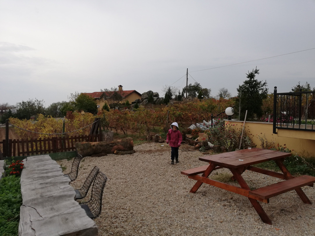 Dessera Bağ Evi主图