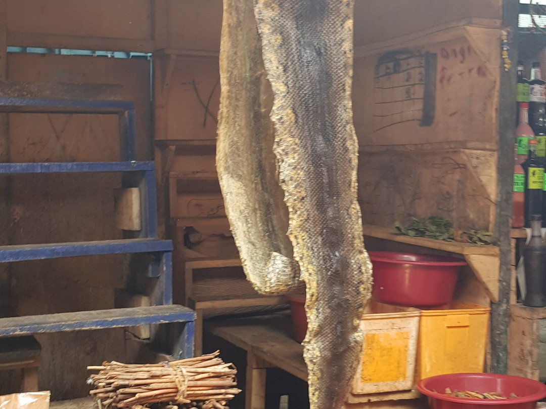 Mercado de Belen-伊基托斯必去景点