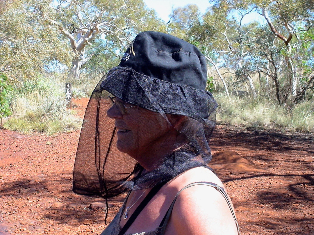 Carnarvon Visitor Centre-卡那封必去景点