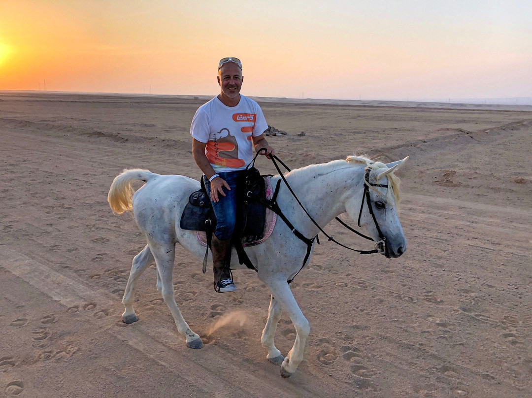 Horse Riding Hurghada景点图片