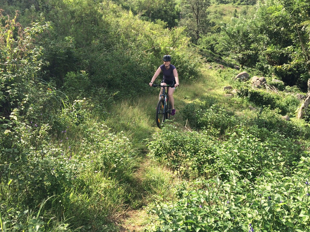 Cycle Tour Sri Lanka景点图片