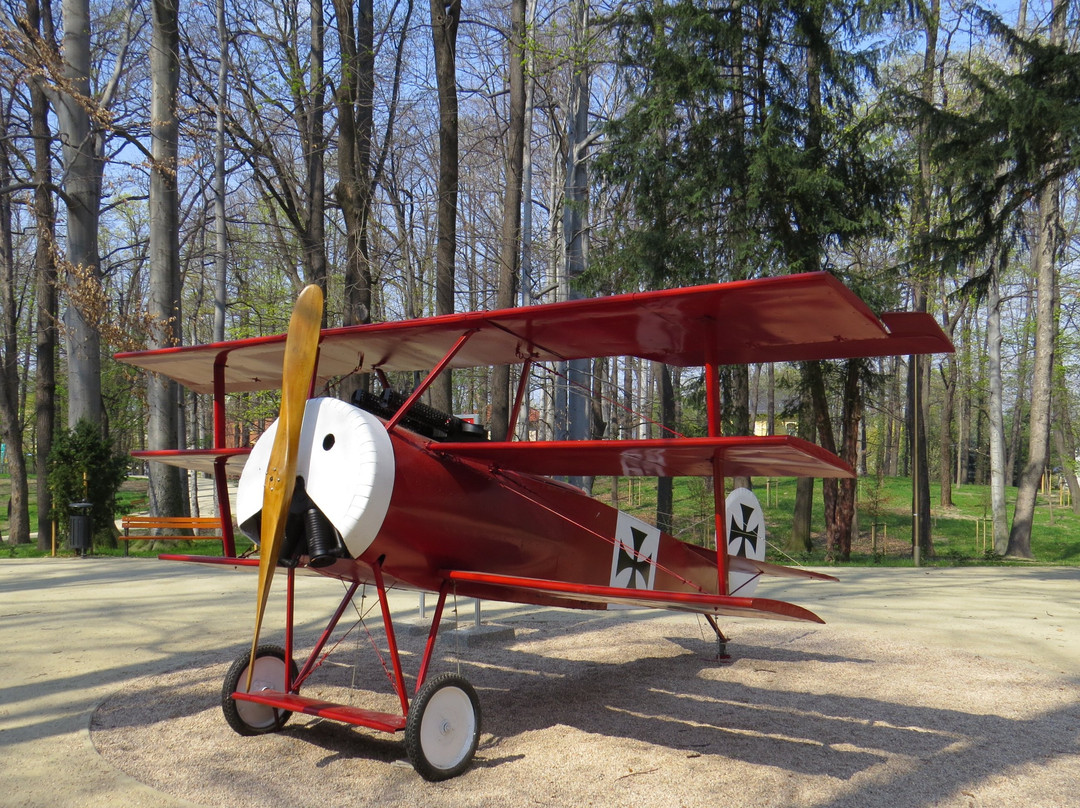 Fokker Dr. I - replika samolotu Czerwonego Barona景点图片