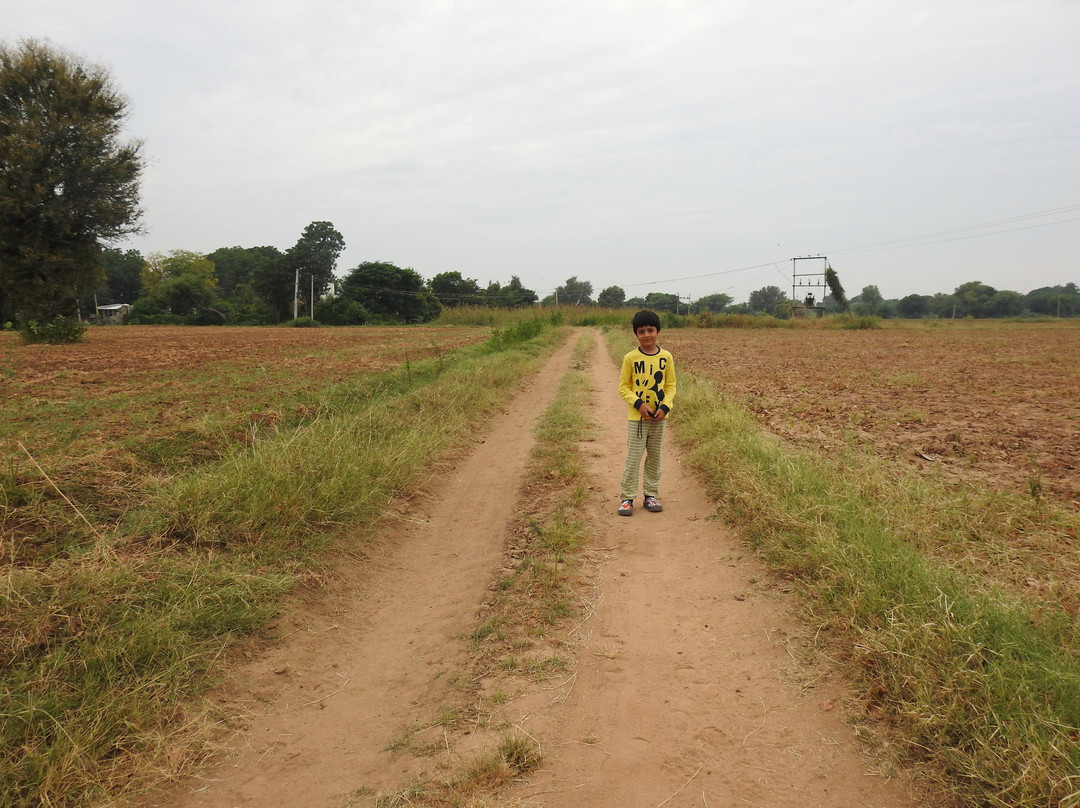 The Country Retreat Farmstay主图