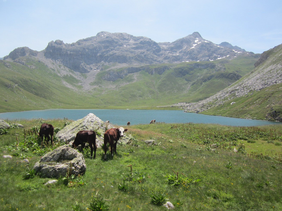 Lac de la Plagne景点图片