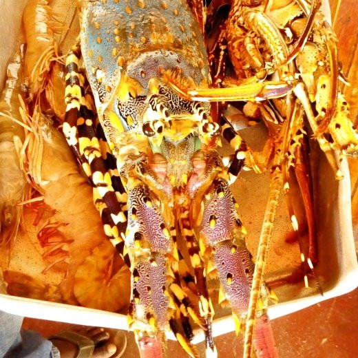 Zanzibar-Tour-桑给巴尔市必去景点