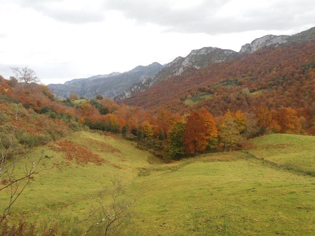 Parque Natural de Ponga景点图片