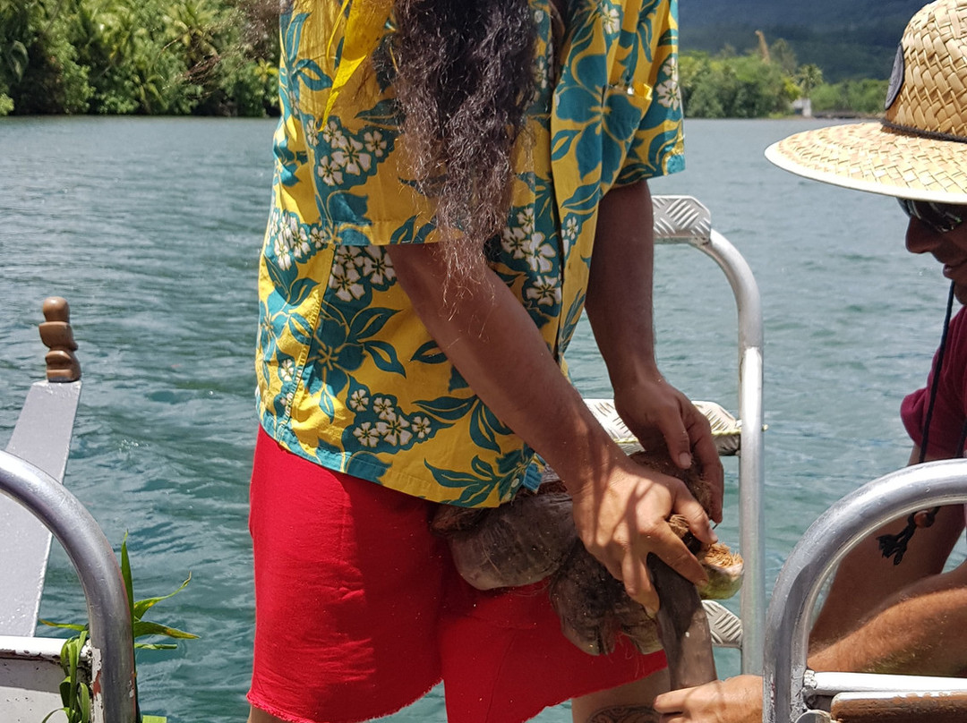 Moorea Seafari Cruises-Paopao必去景点