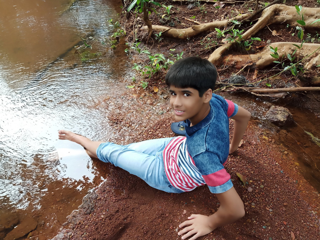 Dudhsagar Plantation-Mollem National Park必去景点