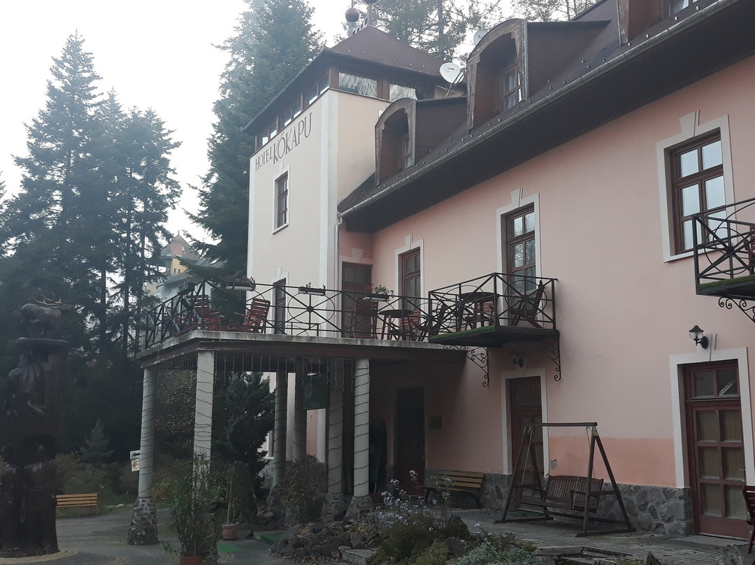 Kőkapu Vadászkastély és Hotel & Apartments主图