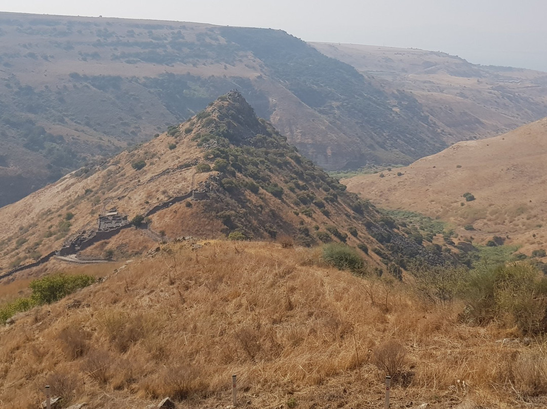 Gamla Nature Reserve景点图片