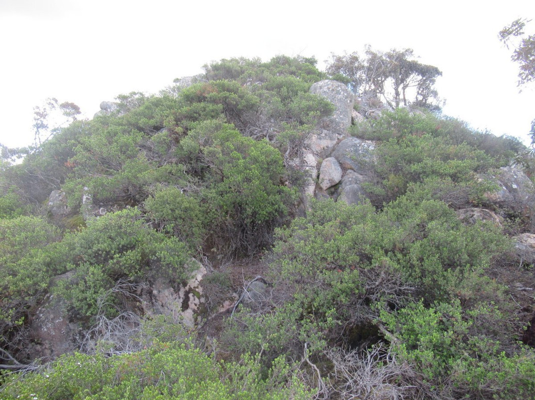 Langi Ghiran State Park-Warrak必去景点