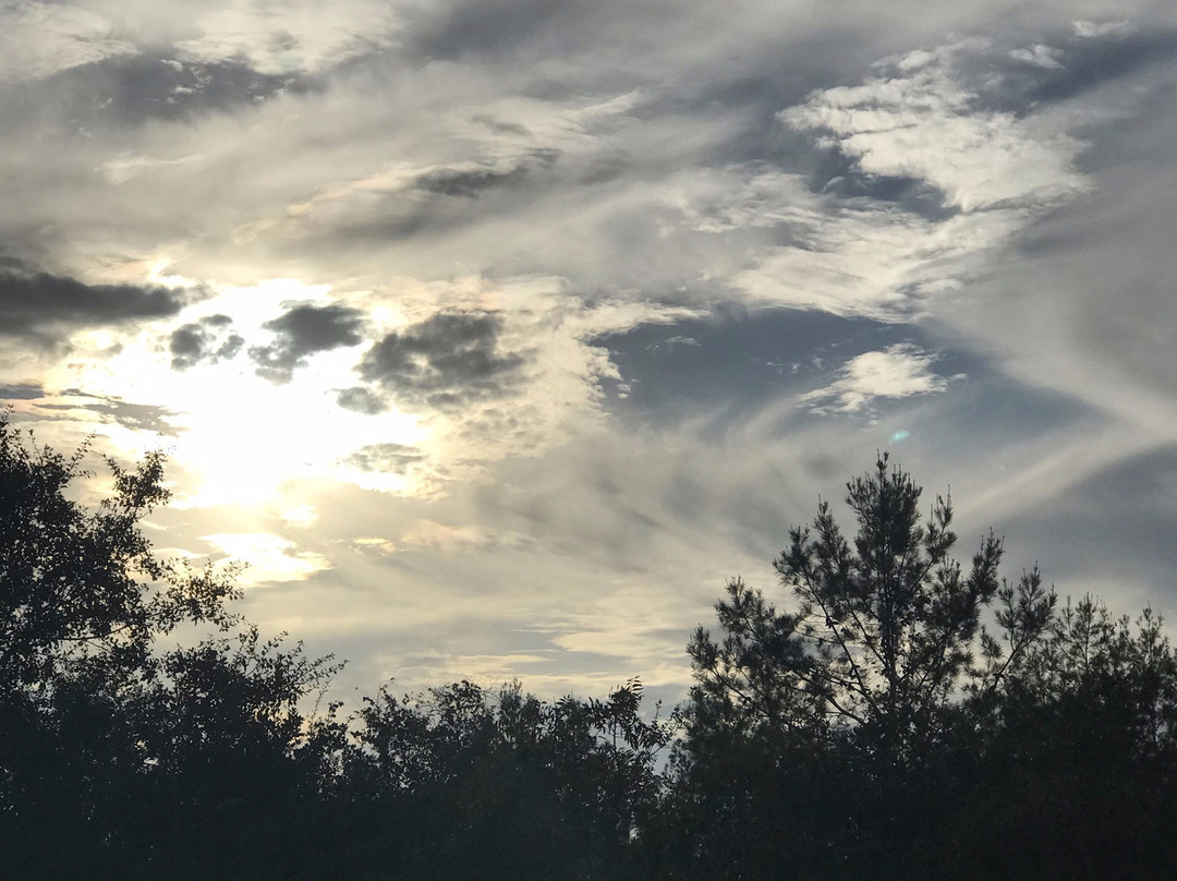 Amrit Yoga Institute-Salt Springs必去景点