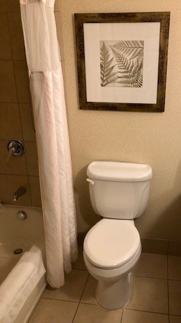 Hilton Garden Inn Seattle/Issaquah主图