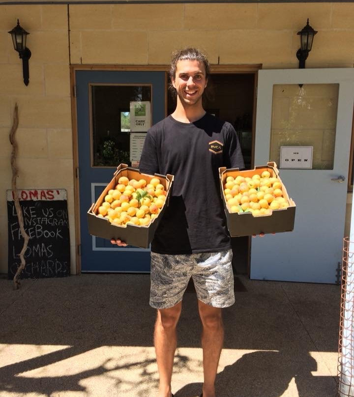 Lomas Orchards-Wallington必去景点