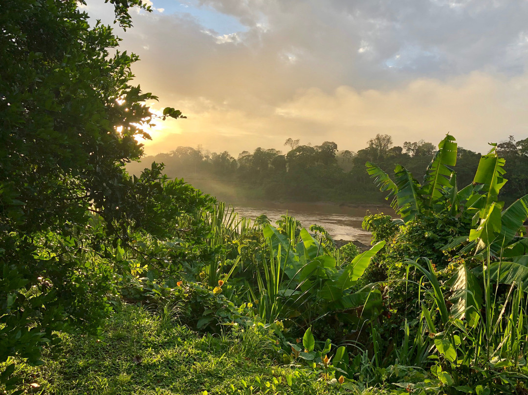 Wasai Tambopata Lodge主图